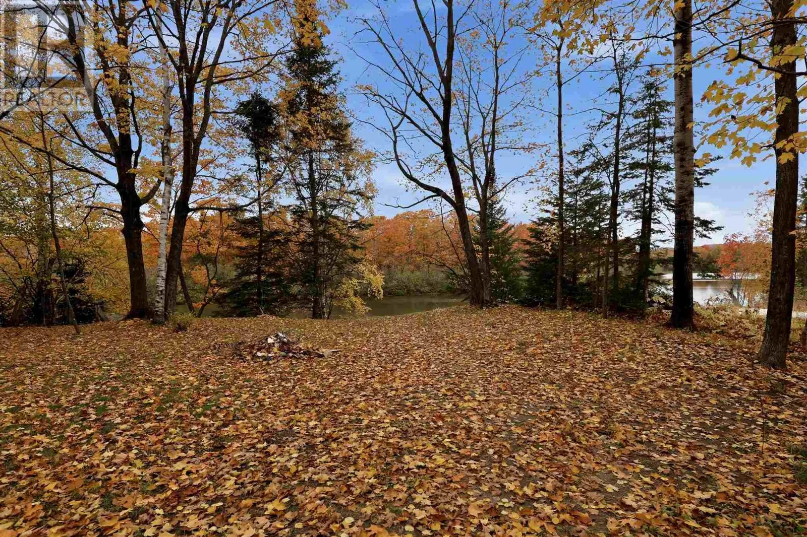 816 Pine Shores RD