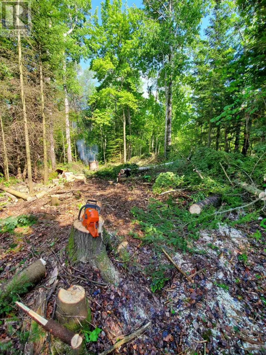 Lot 53 Lakeshore DR S