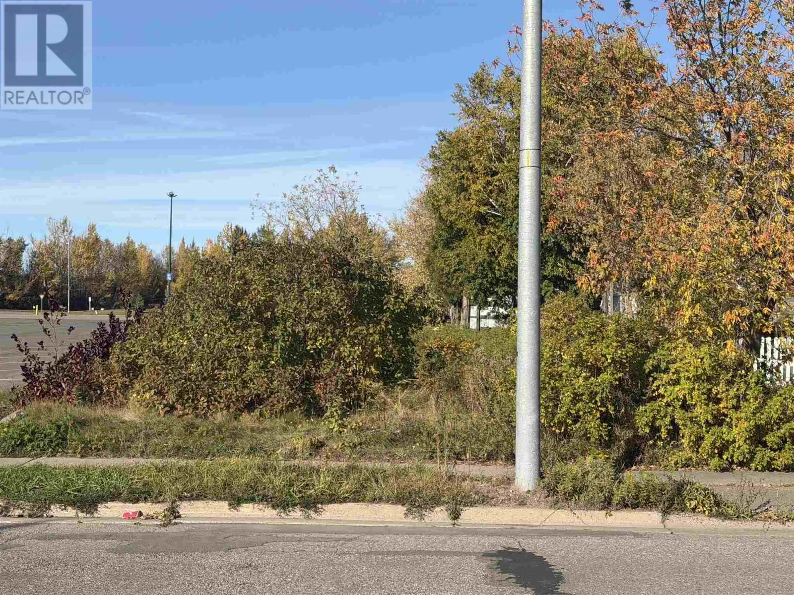 418 Albert ST W