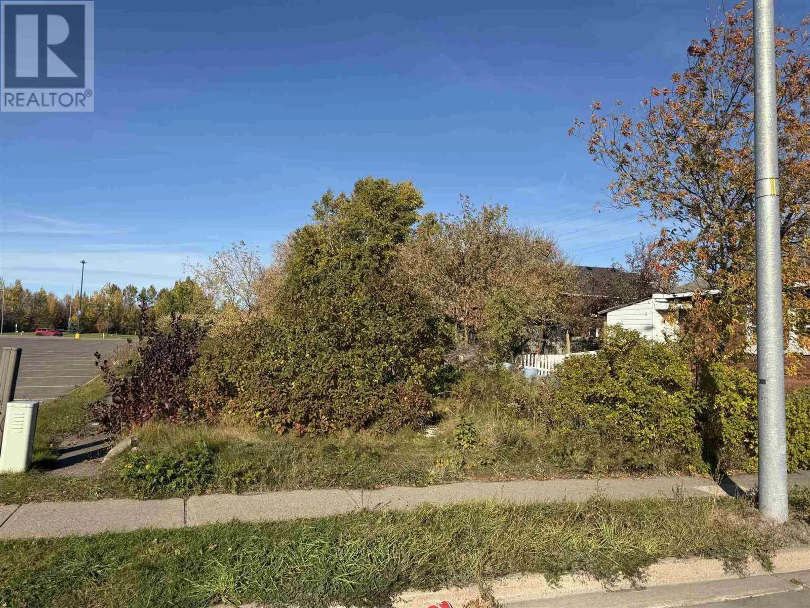 418 Albert ST W