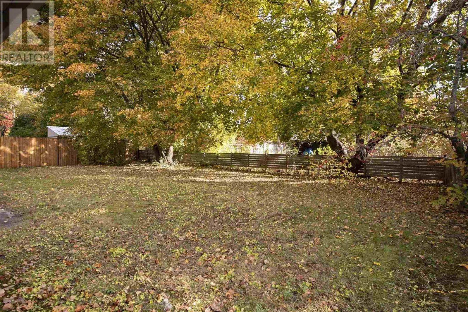 119 Parkdale DR