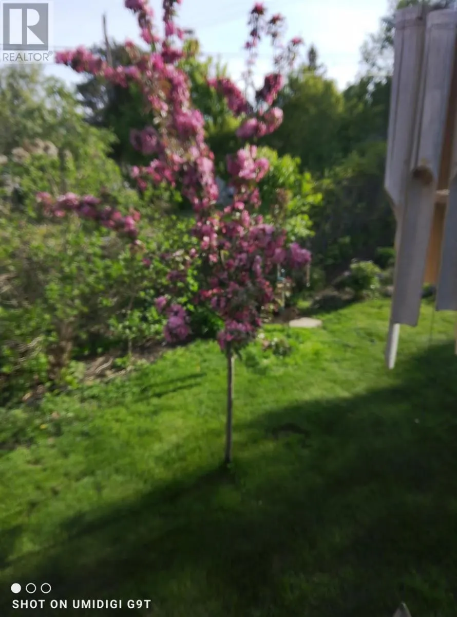 29 Blackwell RD