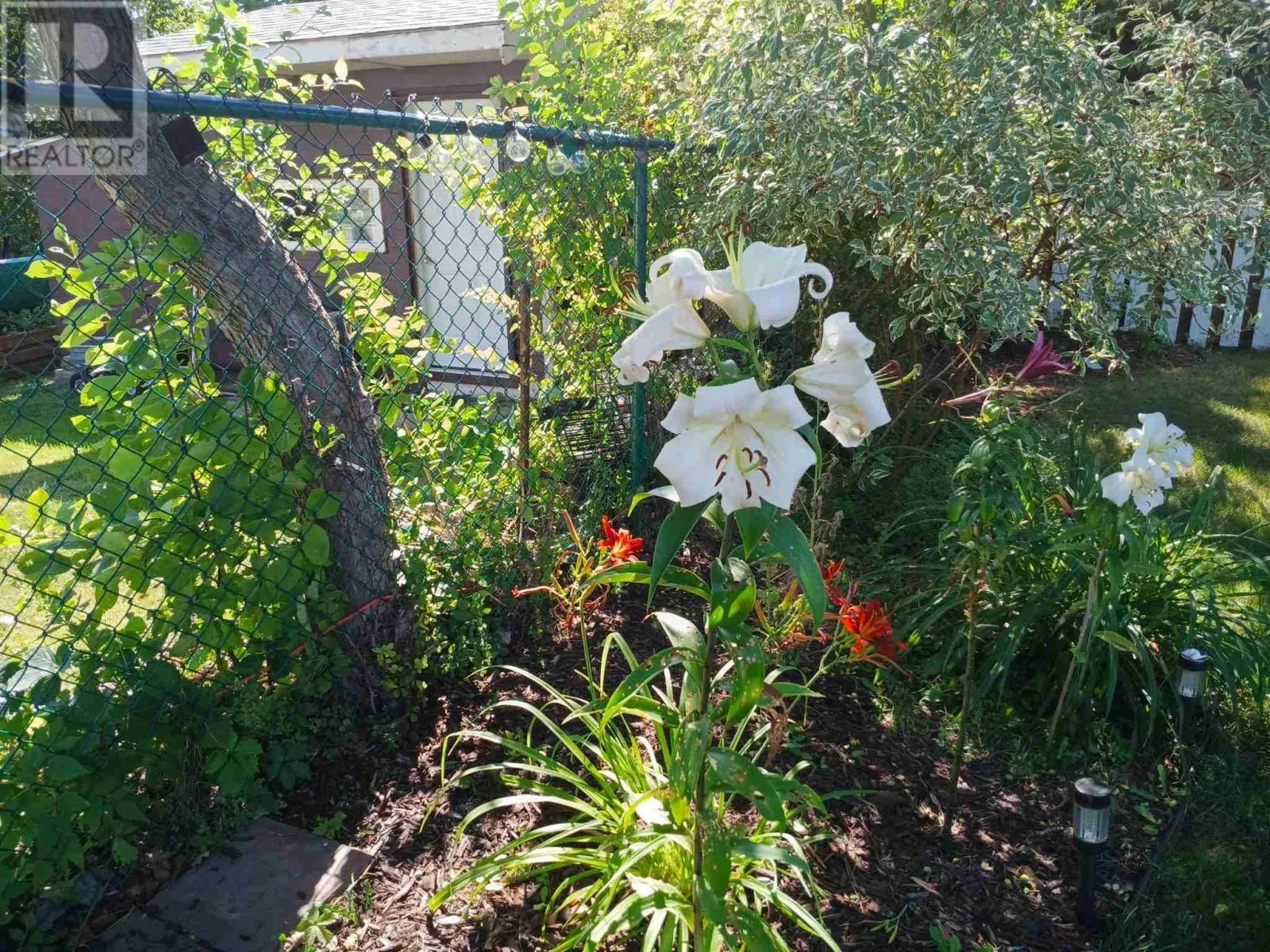29 Blackwell RD