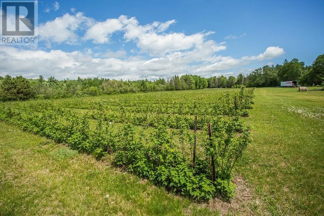 46 Collver RD|Huron Shores Township