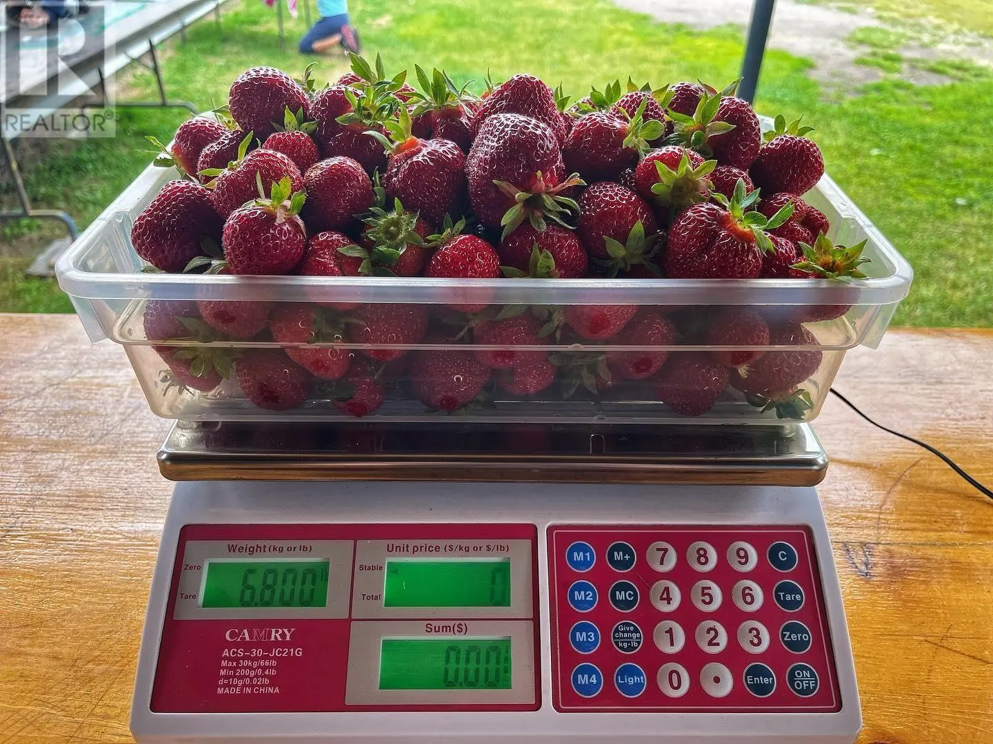 46 Collver RD|Huron Shores Township