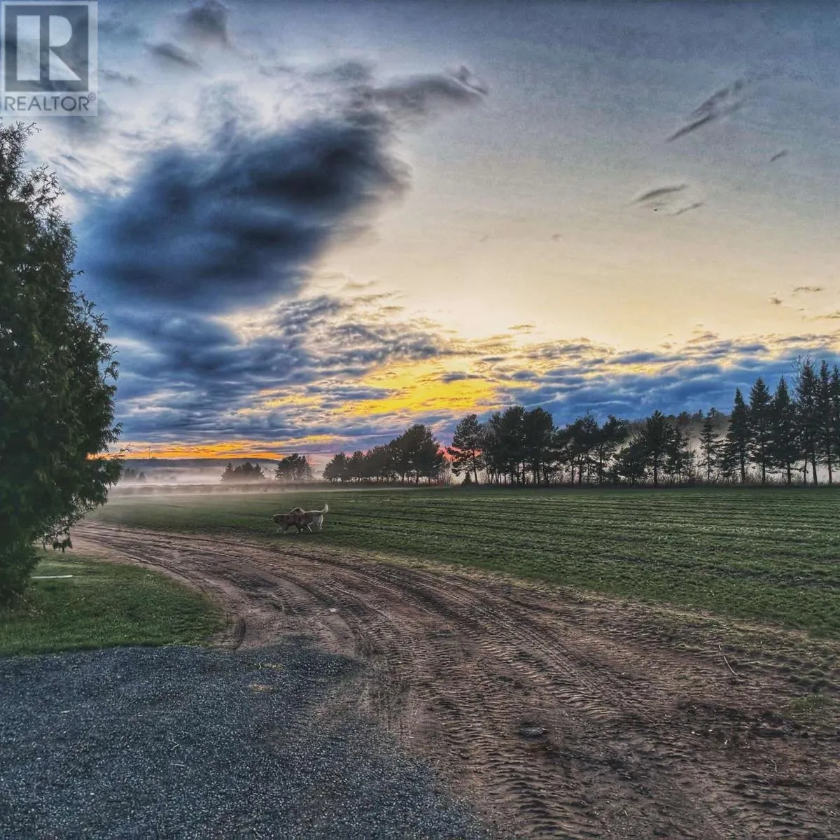 46 Collver RD|Huron Shores Township