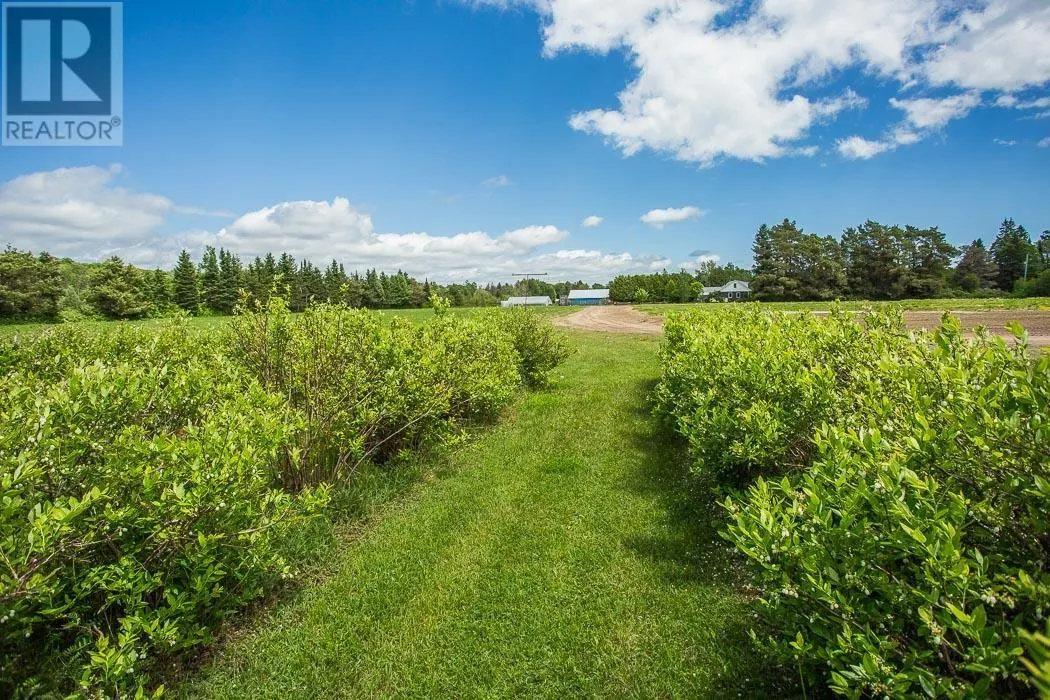 46 Collver RD|Huron Shores Township