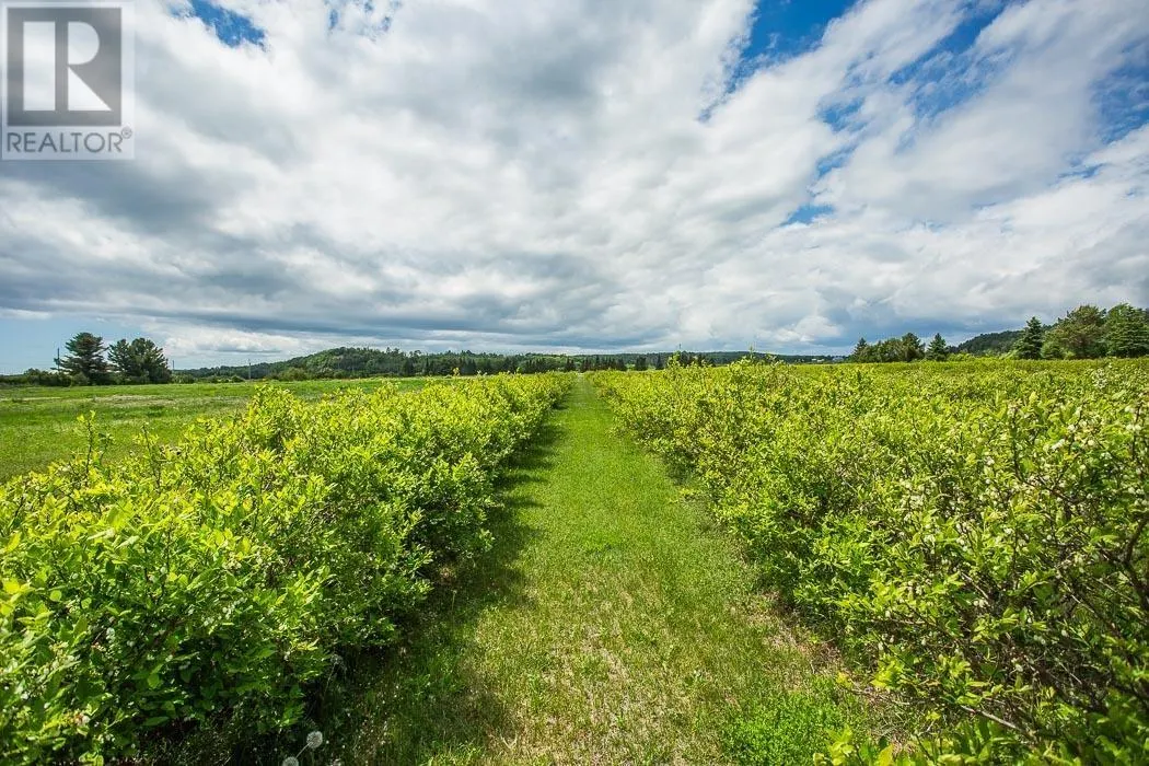 46 Collver RD|Huron Shores Township