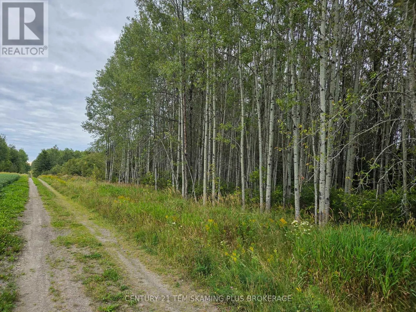 LT6C4 SPRUCE GROVE ROAD