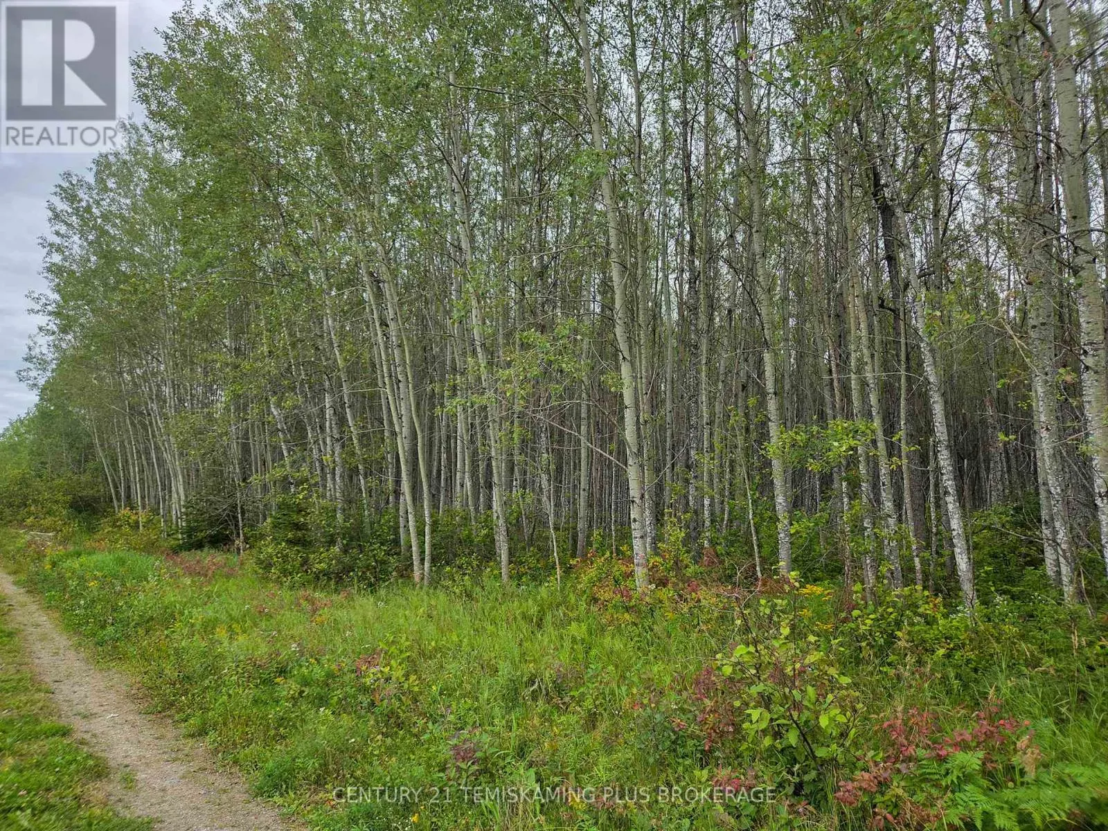 LT6C4 SPRUCE GROVE ROAD