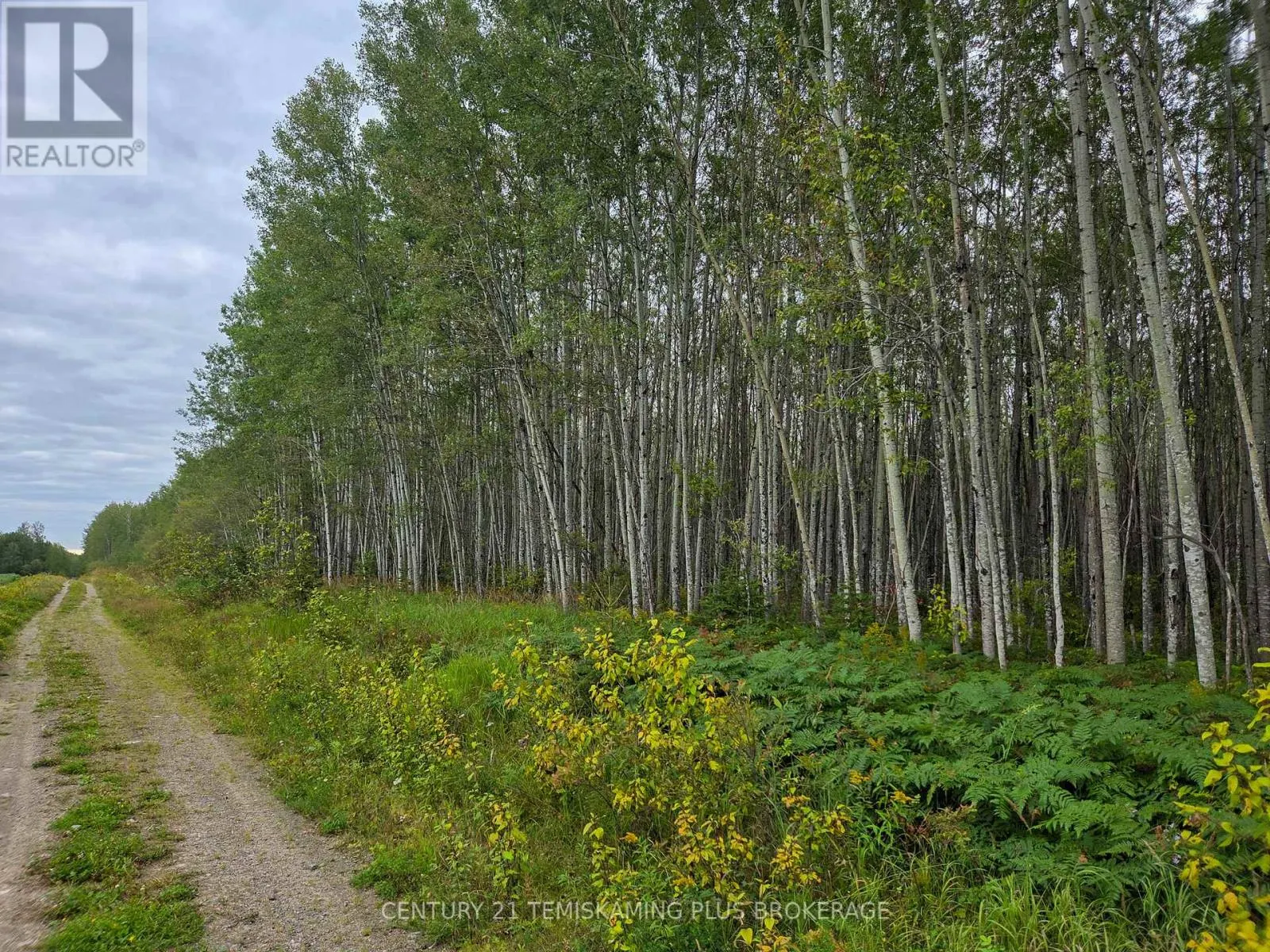 LT6C4 SPRUCE GROVE ROAD