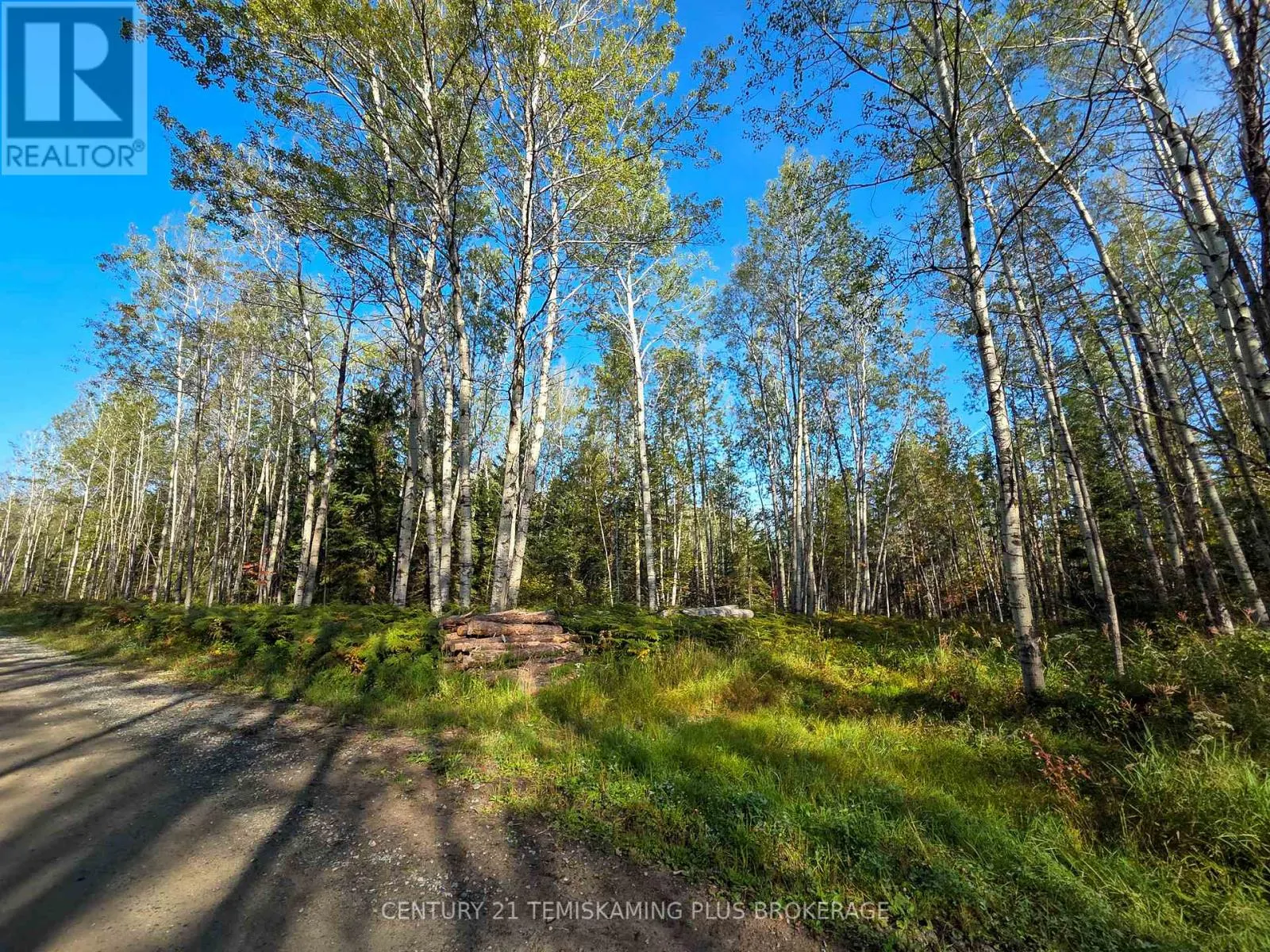 774038 BEAR ROAD