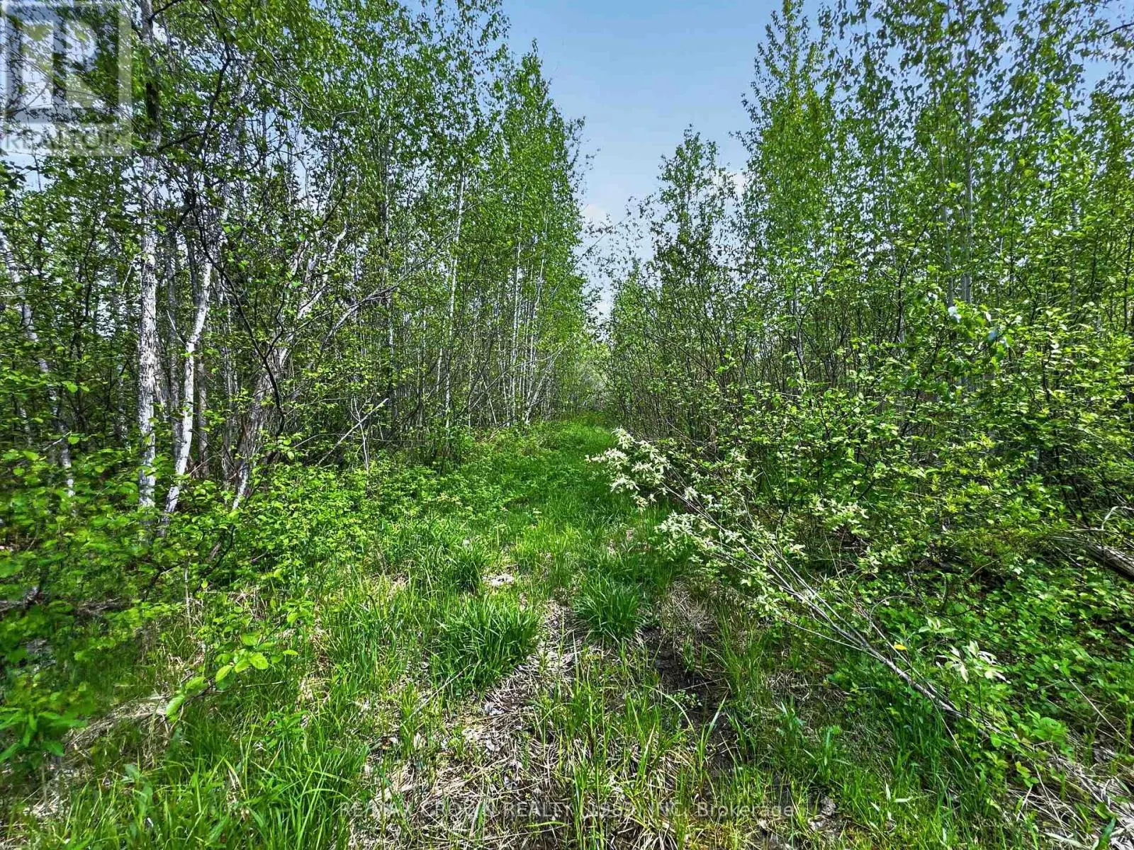 LOT 5 CONCESSION 3