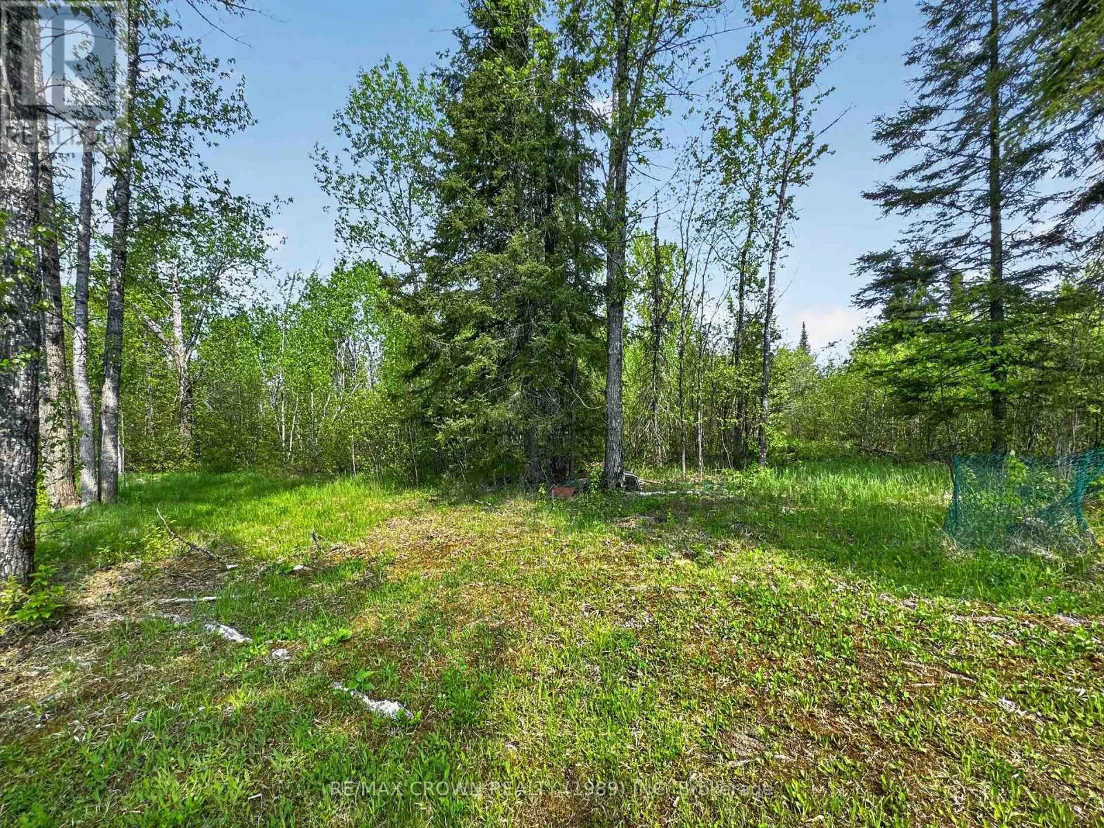 LOT 5 CONCESSION 3