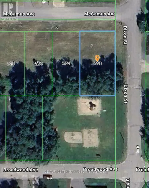 520 MCCAMUS AVENUE