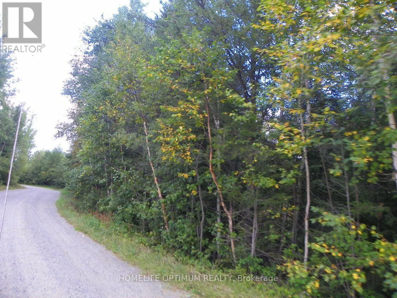 PT 1 6R8933 PLAYFAIR TWP BLUE JAY ROAD