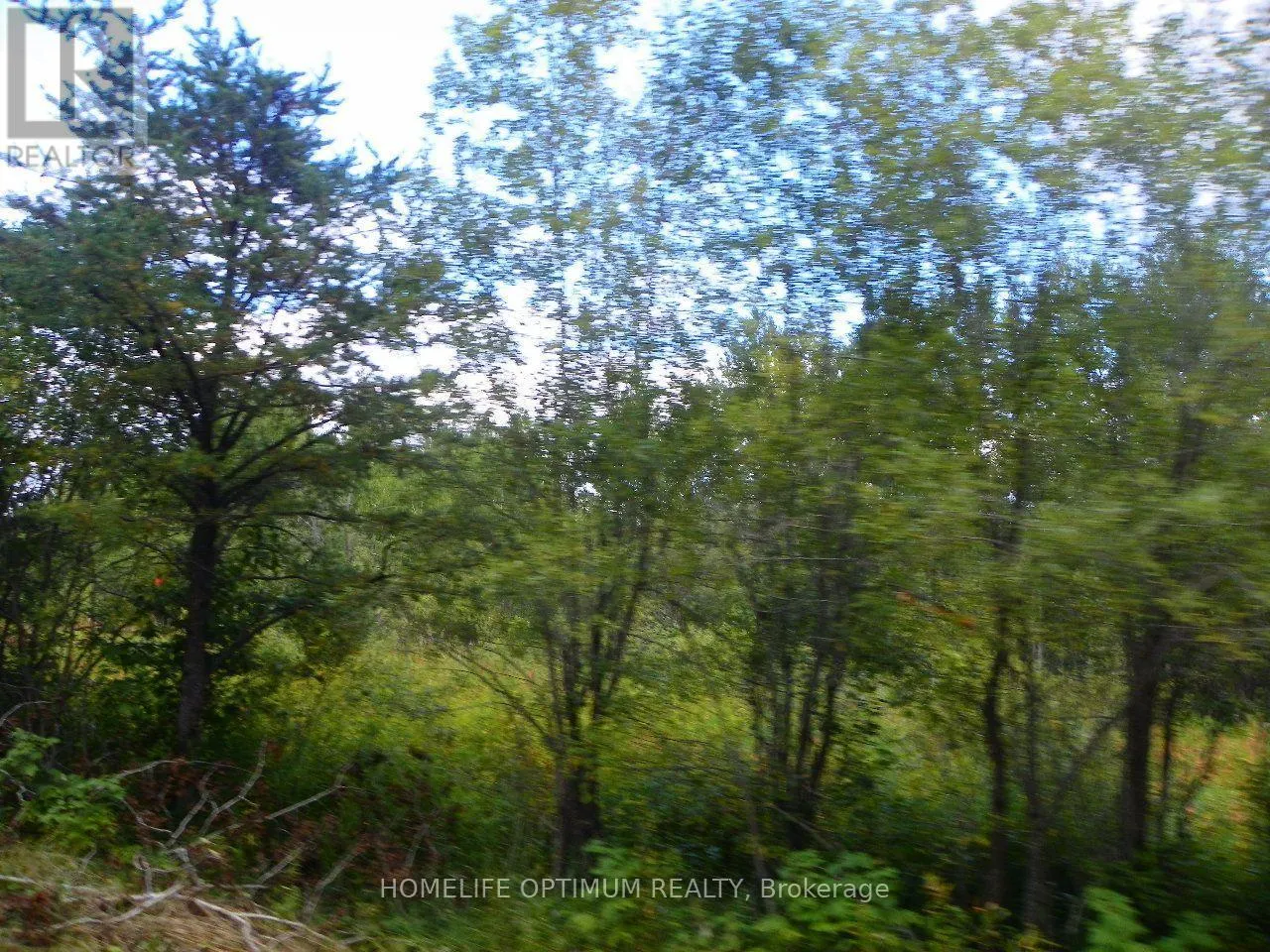 PT 1 6R8933 PLAYFAIR TWP BLUE JAY ROAD