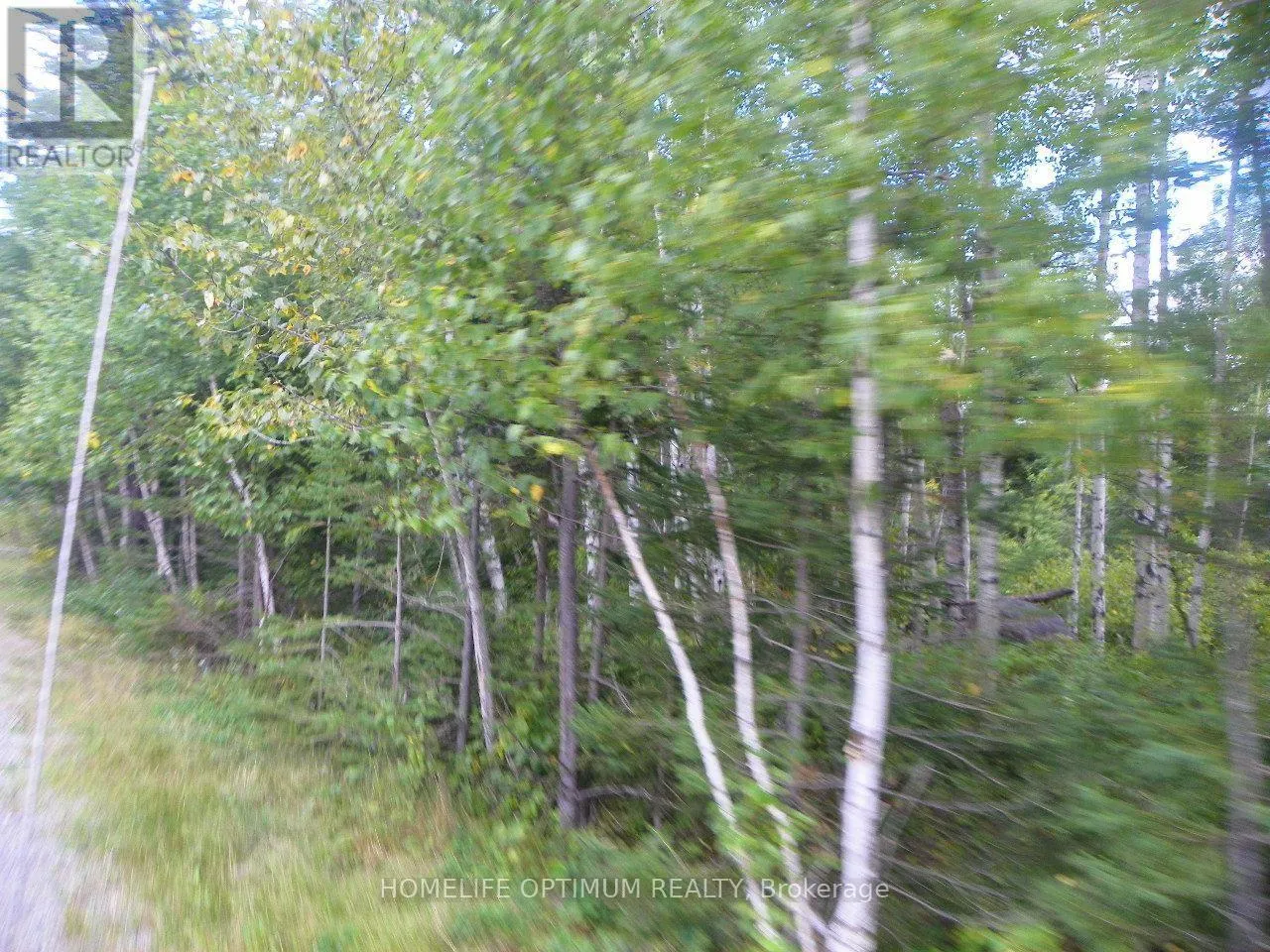 PT 1 6R8933 PLAYFAIR TWP BLUE JAY ROAD