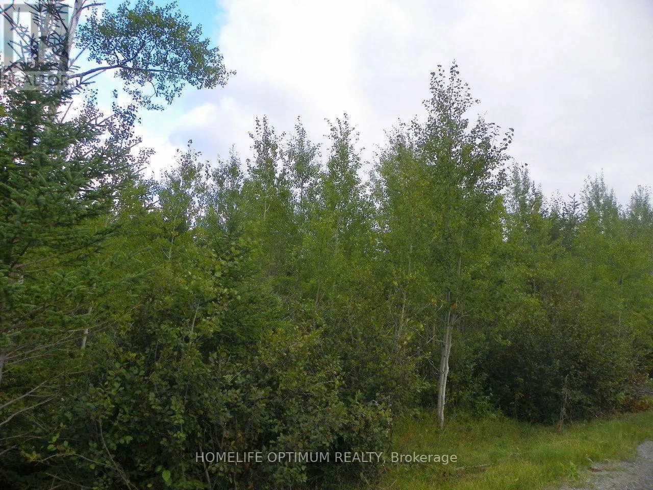 PT 1 6R8933 PLAYFAIR TWP BLUE JAY ROAD