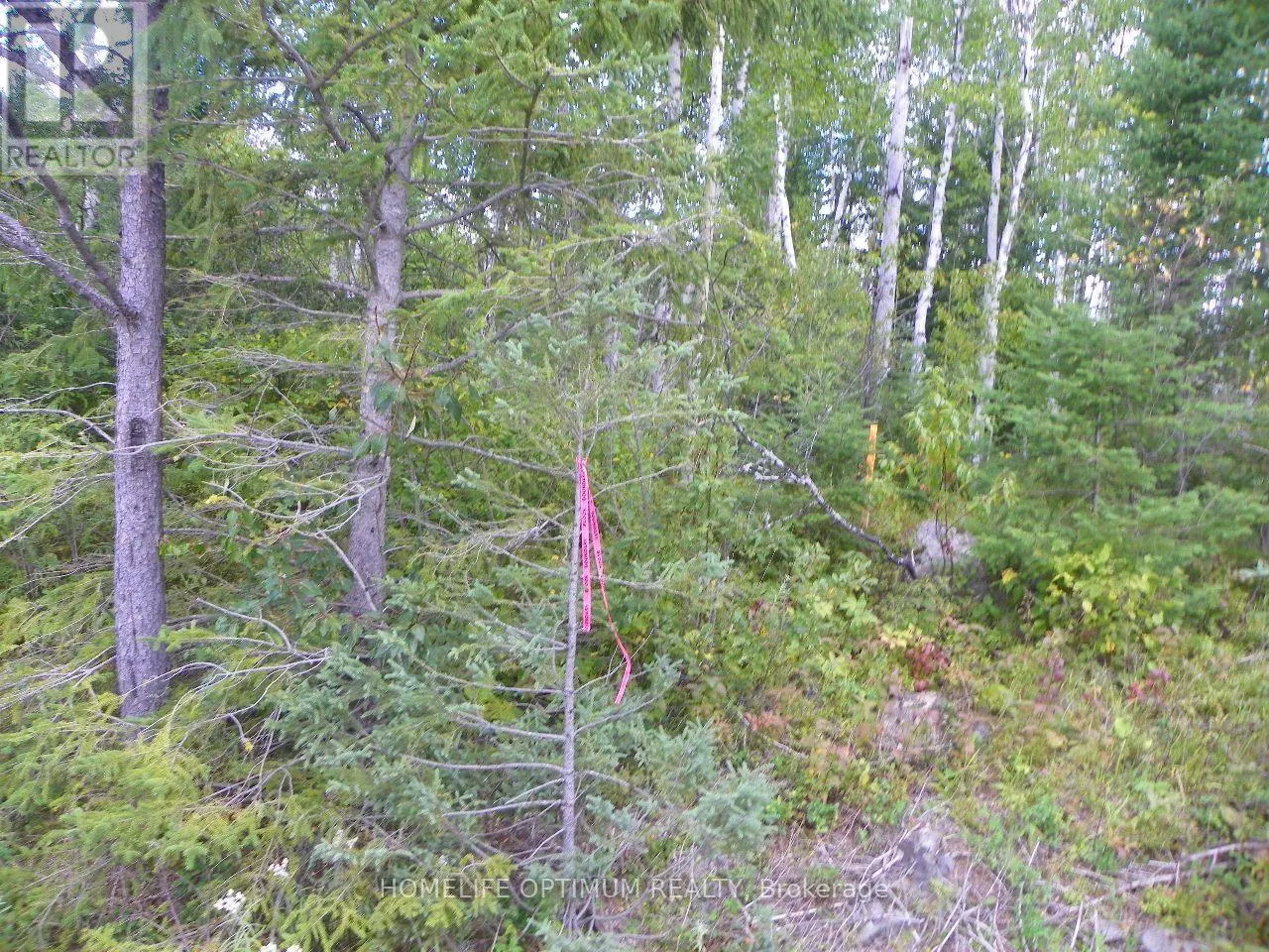 PT 1 6R8933 PLAYFAIR TWP BLUE JAY ROAD