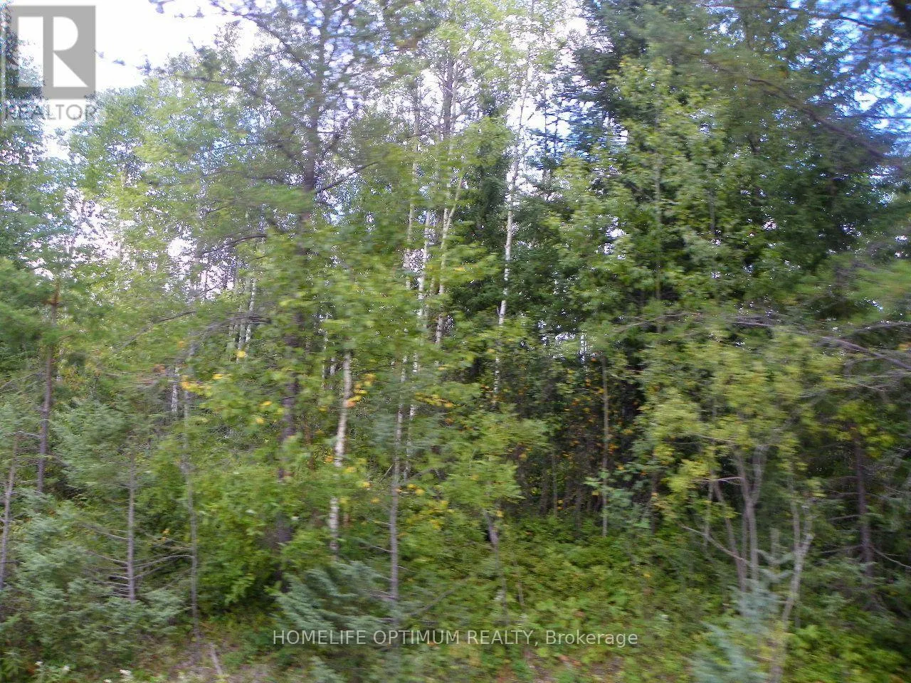 PT 1 6R8933 PLAYFAIR TWP BLUE JAY ROAD