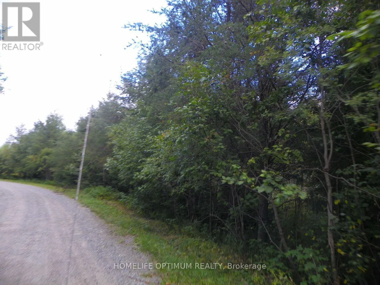 PT 1 6R8933 PLAYFAIR TWP BLUE JAY ROAD