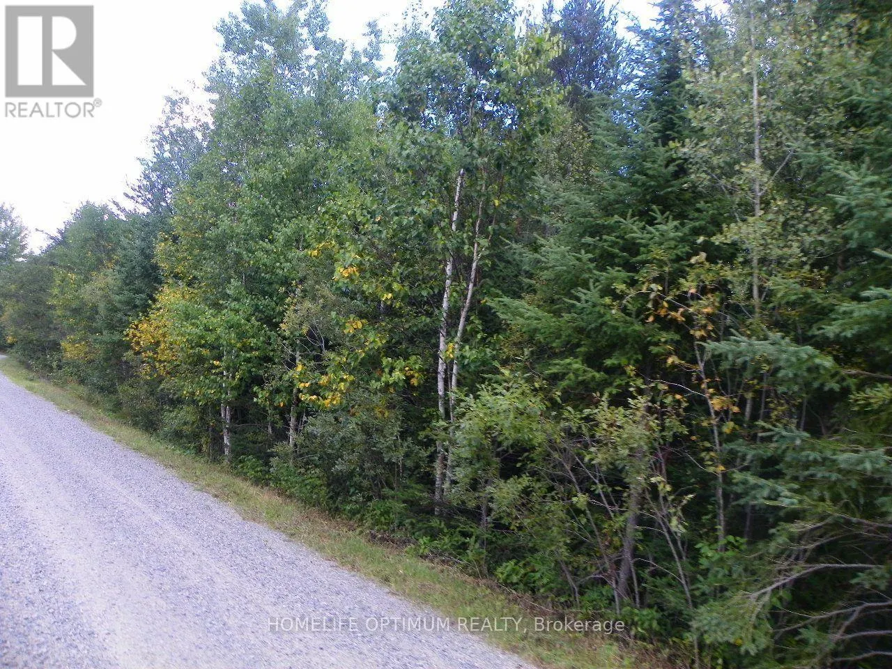 PT 1 6R8933 PLAYFAIR TWP BLUE JAY ROAD