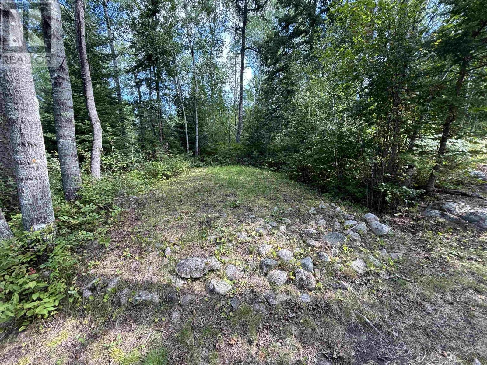 119 LONG PINE LAKE