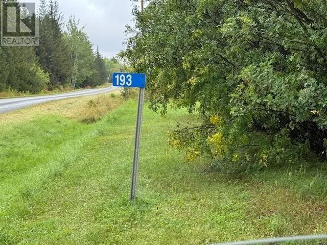 193 Highway 595