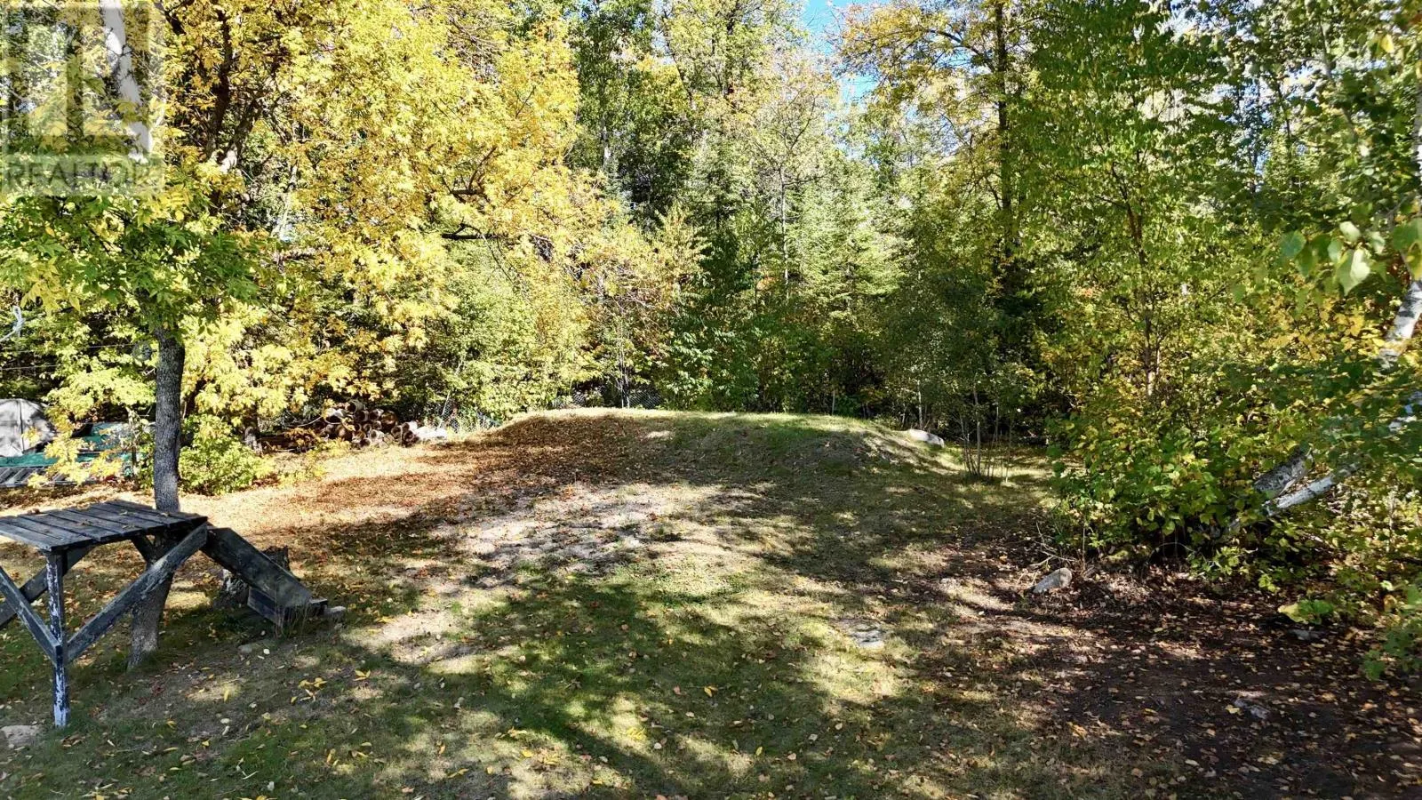 17 PIPESTONE POINT LAKE OF THE WOODS