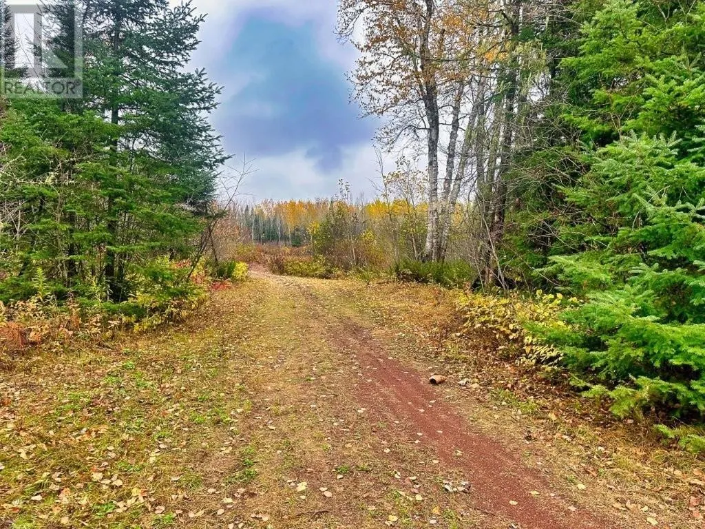 149 HWY 582|Hurkett Loop Road