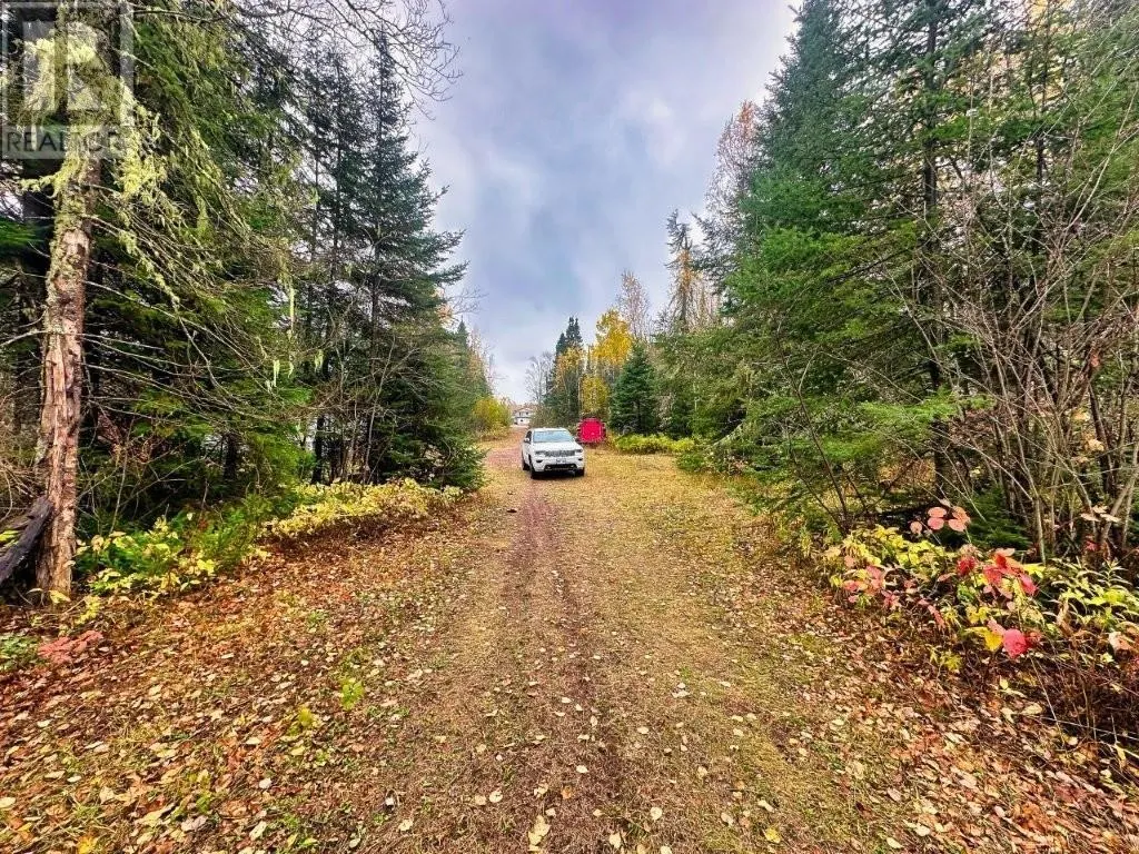 149 HWY 582|Hurkett Loop Road