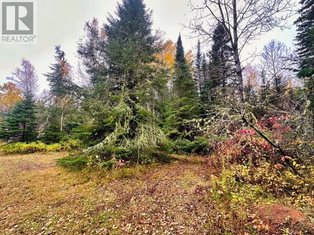 149 HWY 582|Hurkett Loop Road