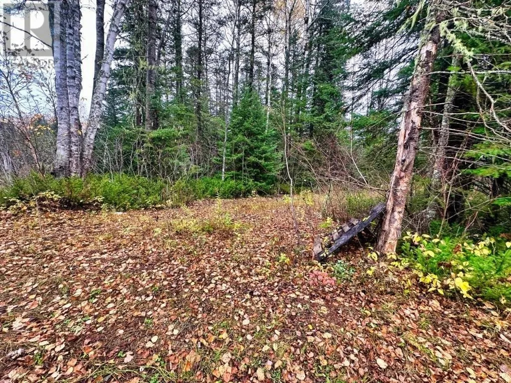 149 HWY 582|Hurkett Loop Road