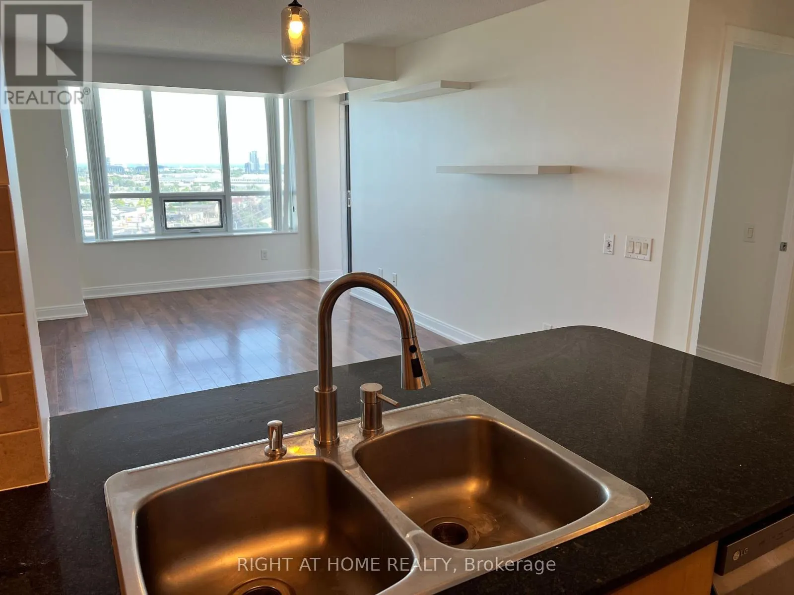 1253 - 25 VIKING LANE