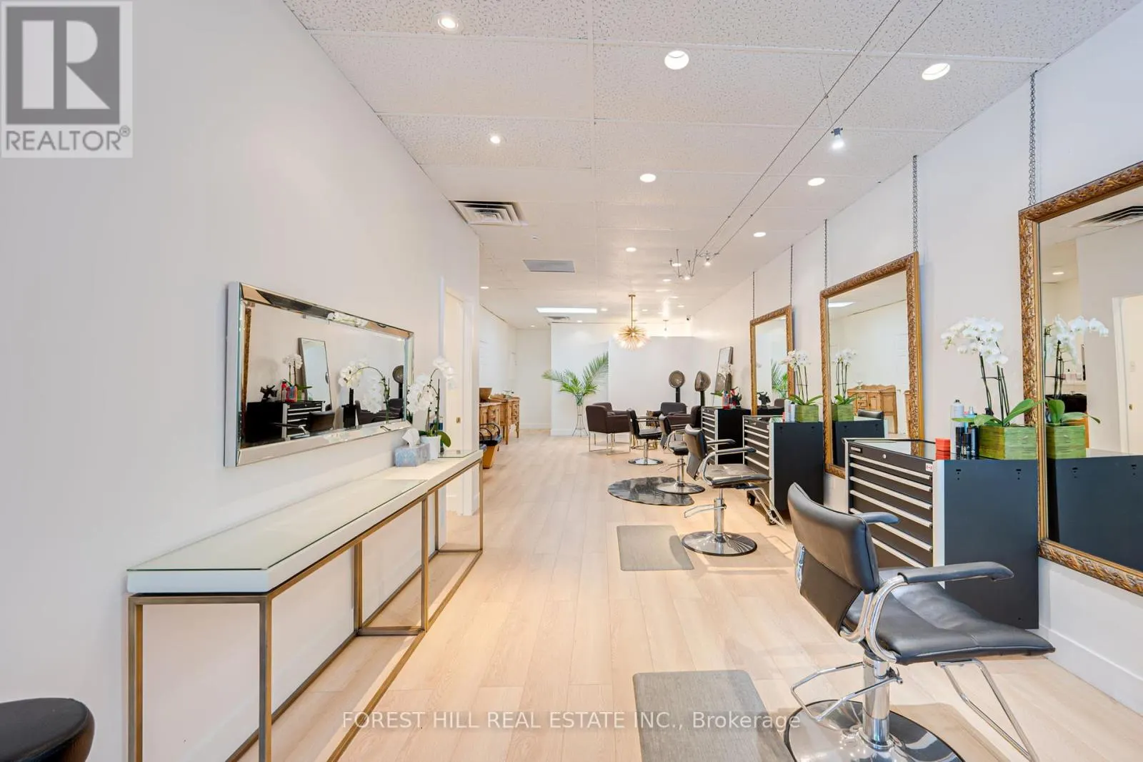 3 - 49 MISSISSAUGA ROAD N