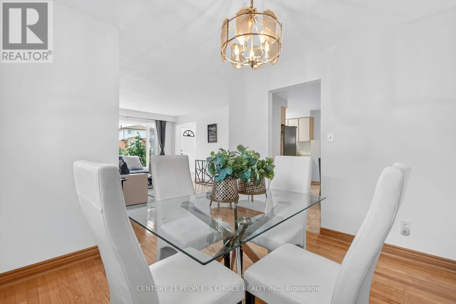 3404 MONICA DRIVE
