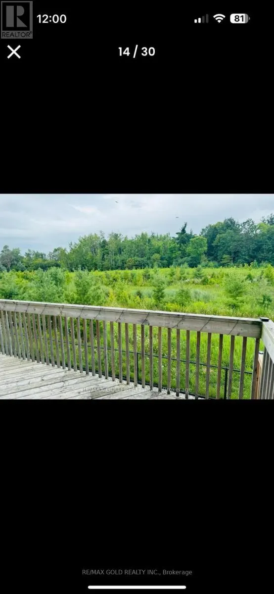 46 MINCING TRAIL