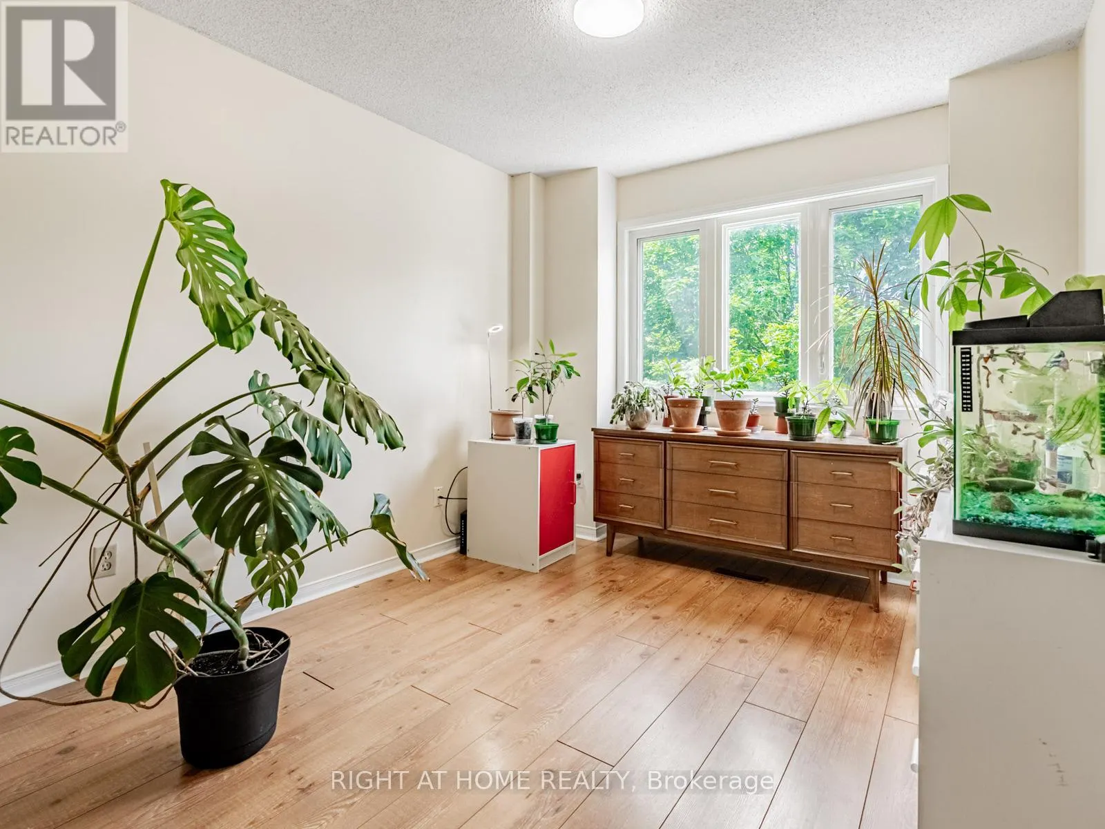 1129 BEECHNUT ROAD