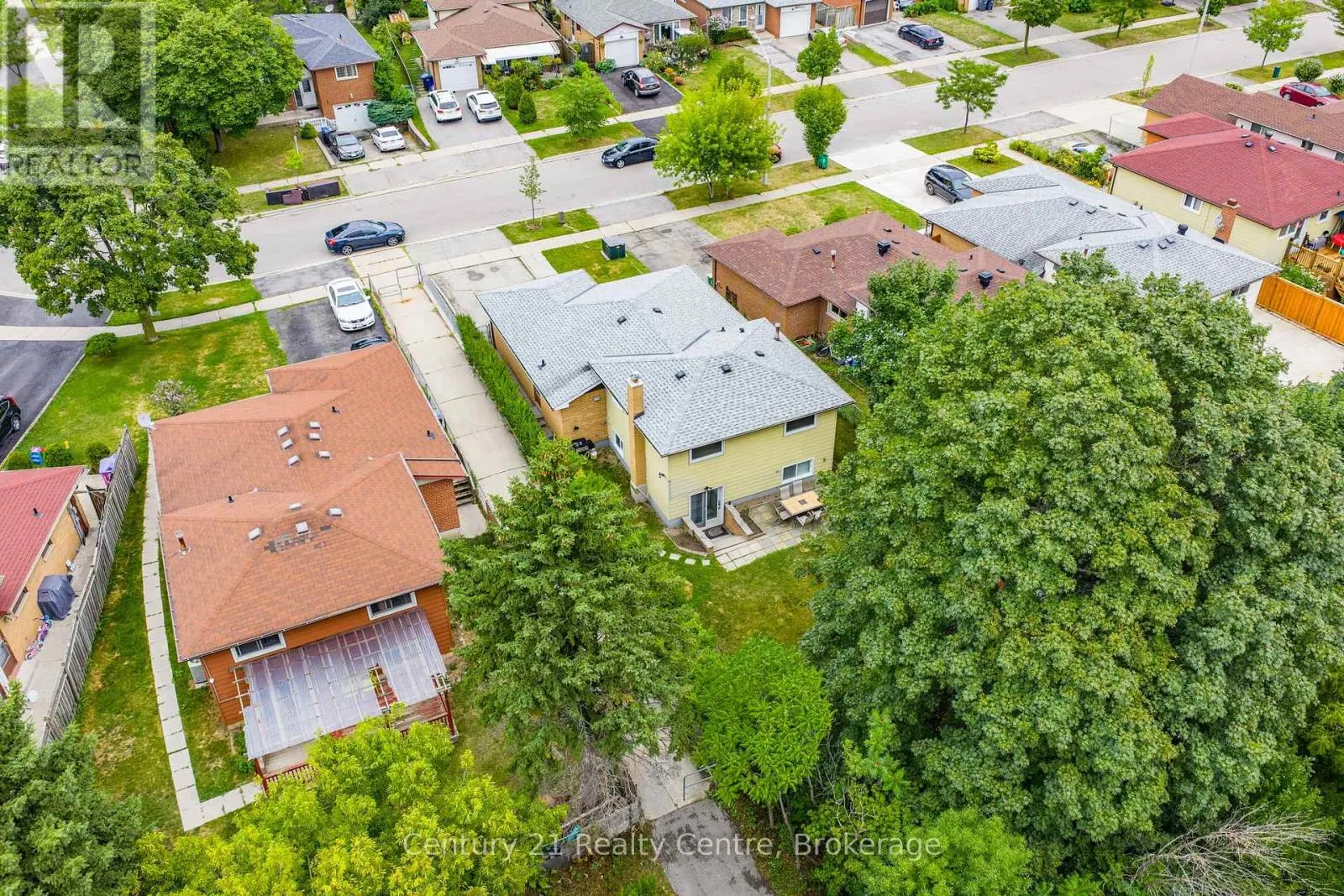 3233 MONICA DRIVE