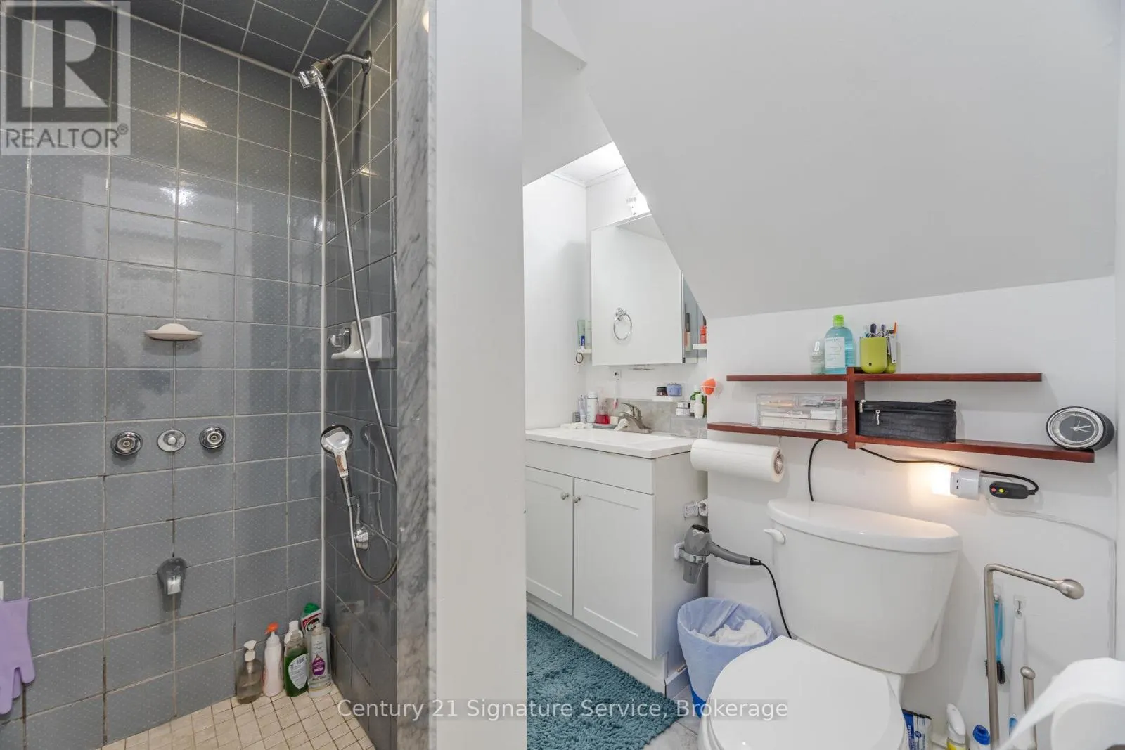 BASEMENT - 3583 ELLENGALE DRIVE