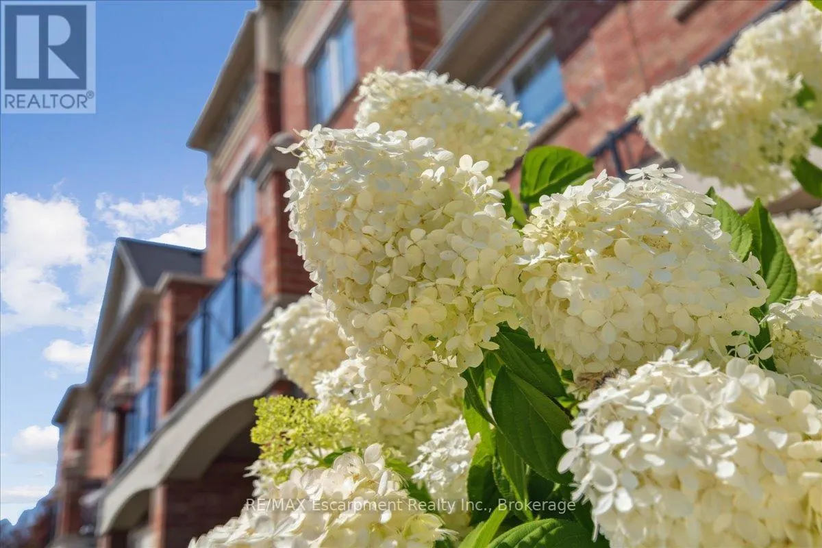 17 - 2508 POST ROAD, #17