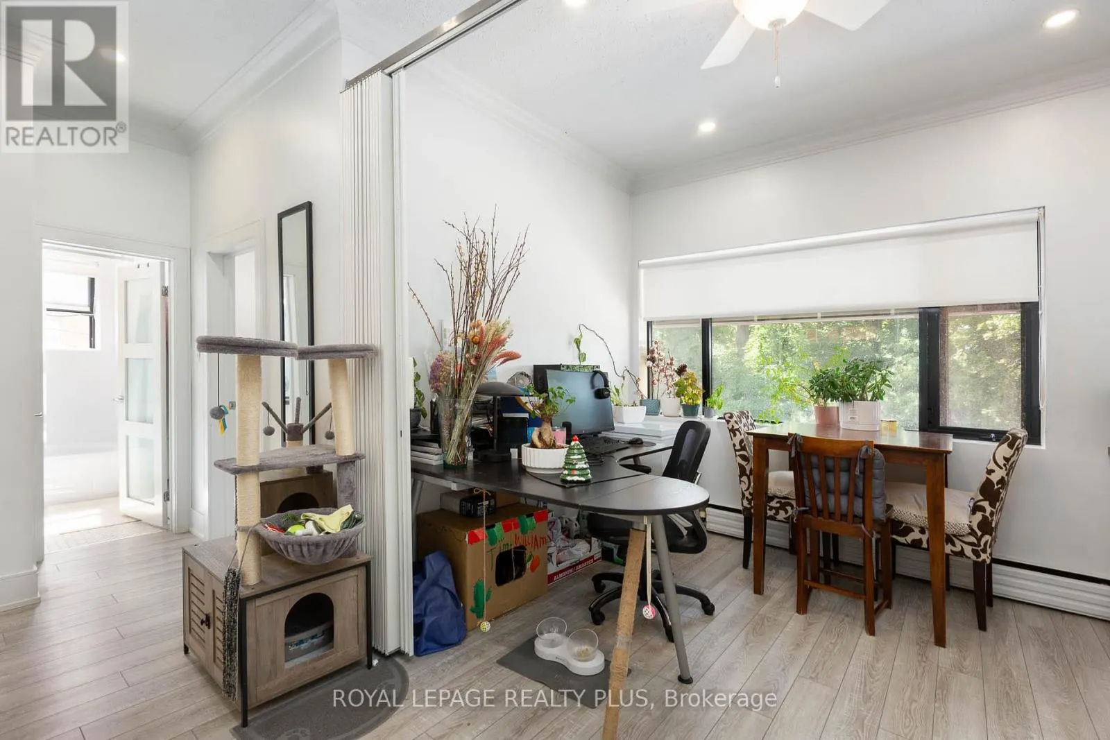 2 - 1 ELMWOOD AVENUE S