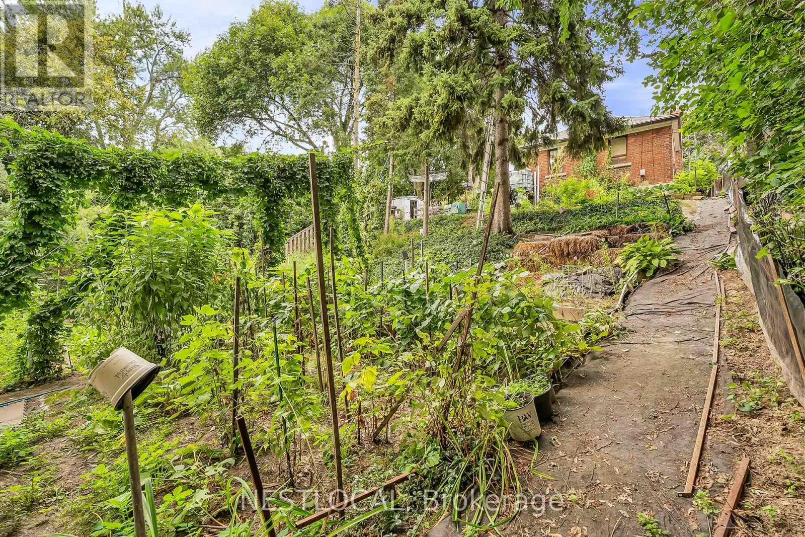 37 ENFIELD AVENUE