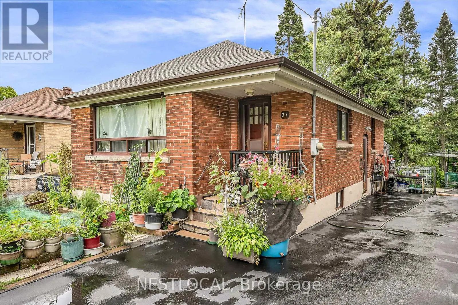 37 ENFIELD AVENUE