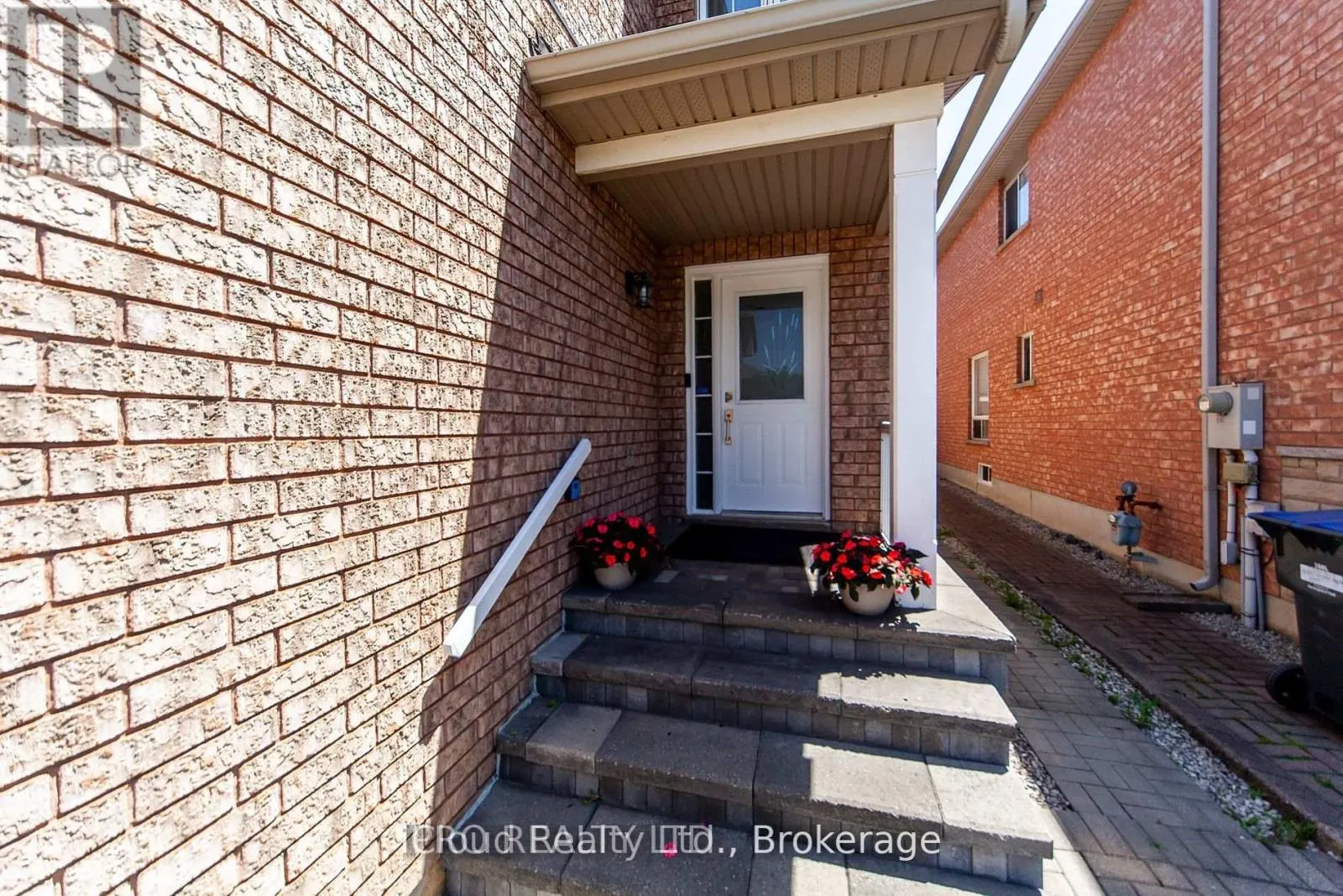 3391 CRIMSON KING CIRCLE