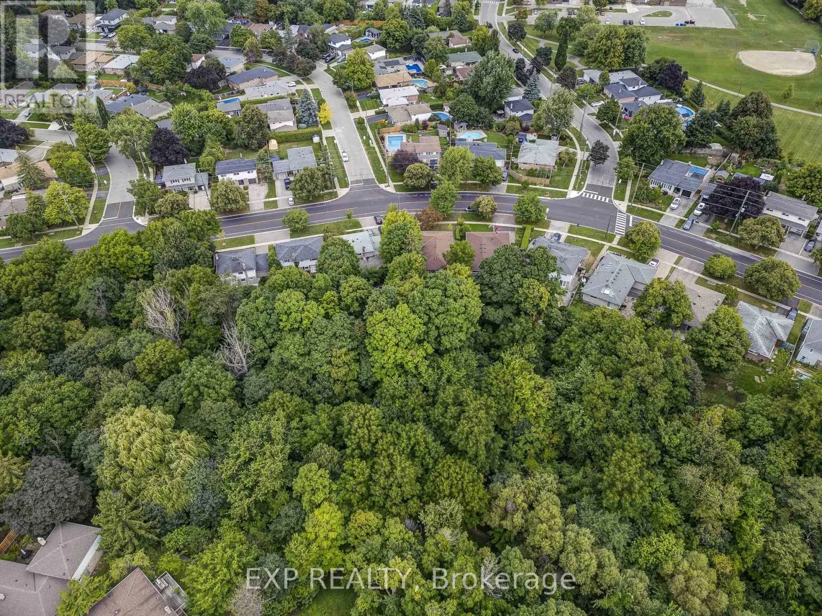 338 DELREX BOULEVARD