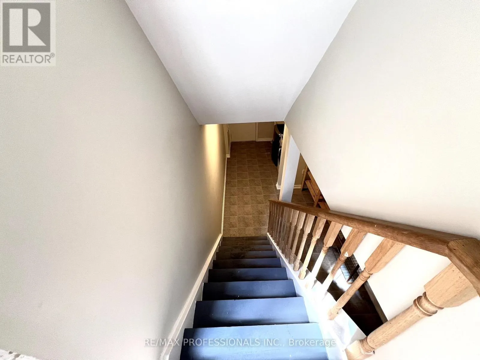 BASEMENT - 3866 FREEMAN TERRACE