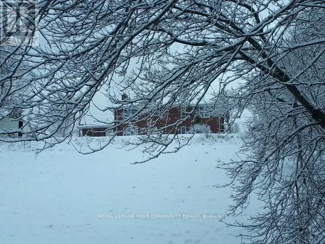 58 OLD KING ROAD