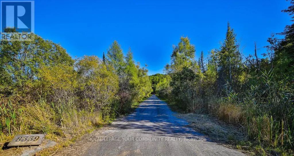 8339 FINNERTY SIDE ROAD